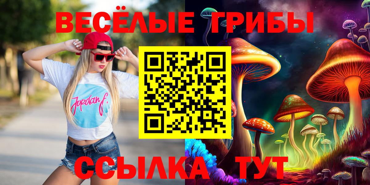 Галлюциногенные грибы Cubensis Магадан